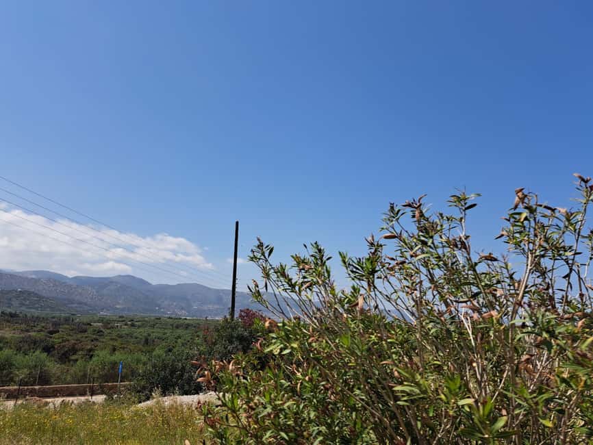 Crete: Malia, Potamos Beach, and Sissi Tuk Tuk Tour - Key points to know before you book