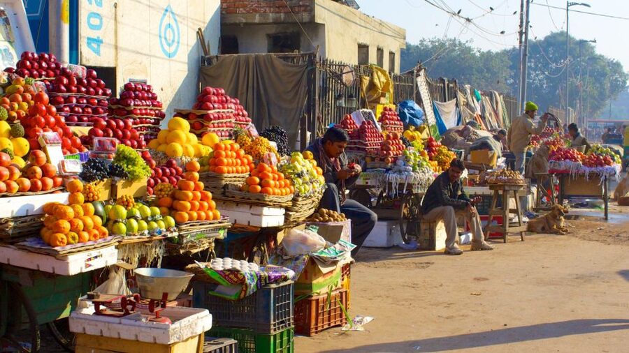 Delhi: Old Delhi City Tour with Tuk Tuk Ride & Street Food - Timing, comfort, and who should book