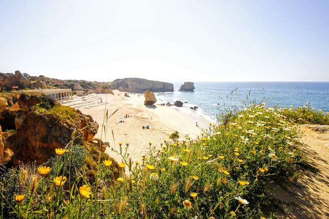 Discover Albufeira in a Tuk Tuk - Why a tuk tuk works well in Albufeira