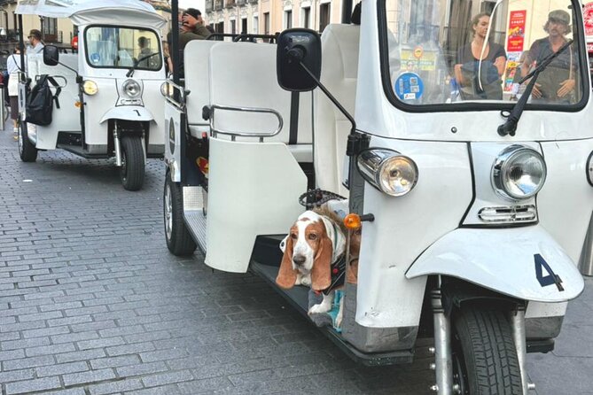 Discover Madrid in a Fun & Eco-Friendly Tuk-Tuk – Private Tour - The Royal Palace, Almudena Cathedral, and Teatro Real