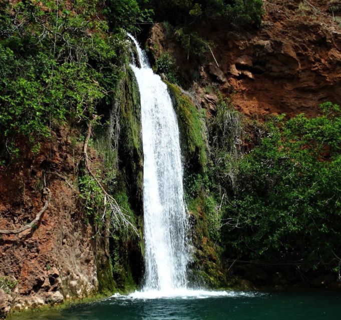 Discover Secrets of the Algarve Countryside By Tuk-Tuk - Leaving Albufeira for the countryside