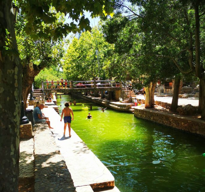 Discover Secrets of the Algarve Countryside By Tuk-Tuk - Finishing with medronho