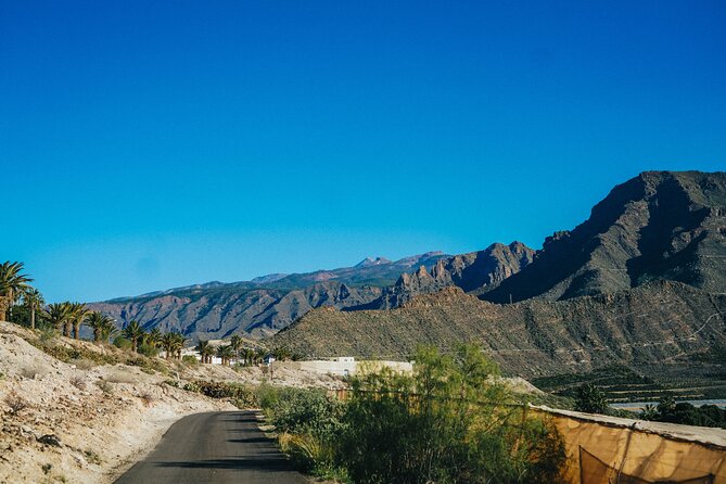 Double Tuk Tuk Tour in Costa Adeje - The high viewpoint above Aqualand
