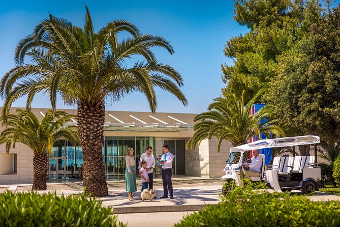E-Tuk Tuk Tour in Dubrovnik - What can go wrong, and how to plan around it