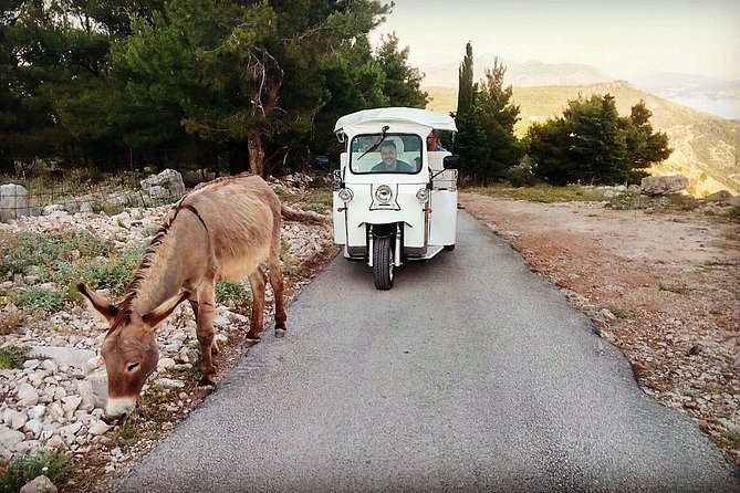 E-Tuk Tuk Tour in Dubrovnik - Franjo Tuđman Bridge gives you the first wide view