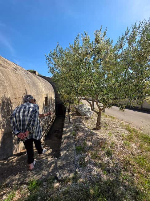 Eco tuk tuk Highlights of Zadar - Land Gate and the old defensive walls