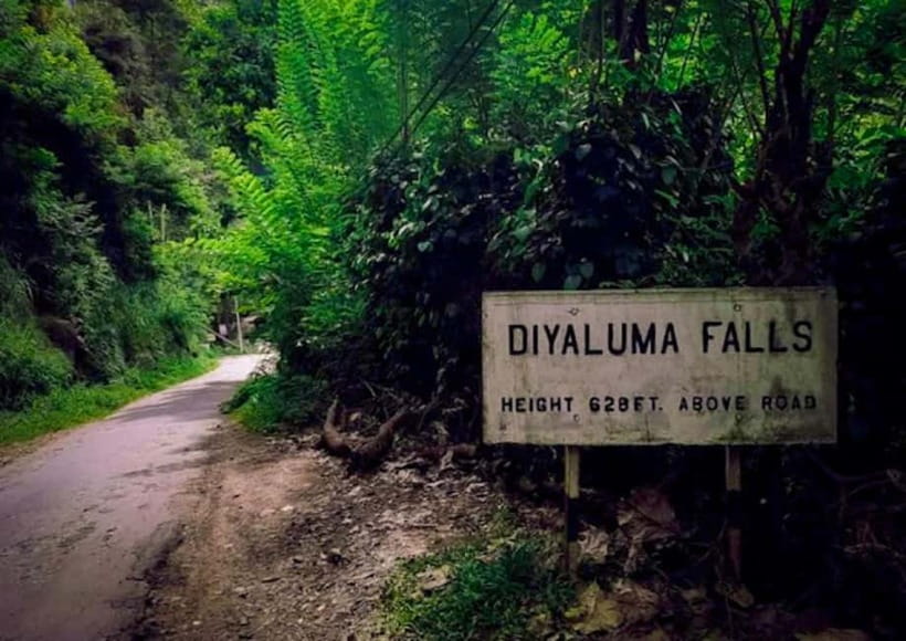 Ella: Tuk Tuk Tour to Diyaluma and Secret Waterfalls - Key points before you book