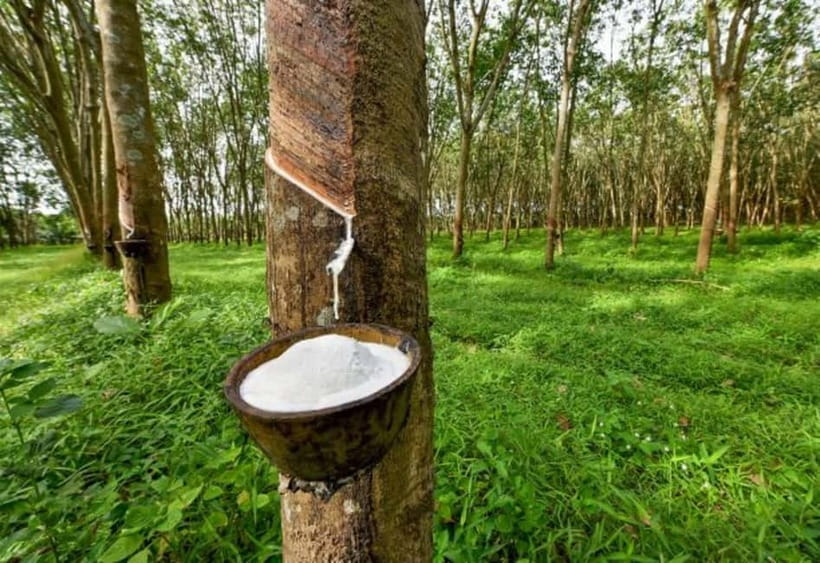 Ella: Tuk Tuk Tour to Diyaluma and Secret Waterfalls - The Secret Waterfall finish