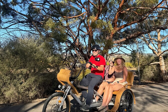 eTukTuk Adventure from Shirvington Wines - McLaren Vale - What the eTukTuk feels like on the trail