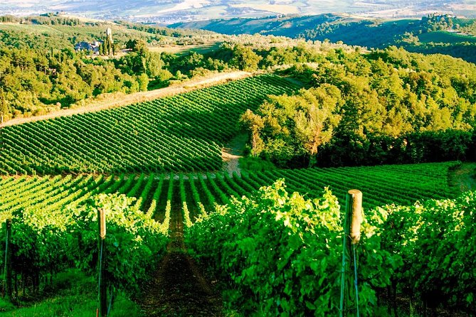 Exclusive Private Tuk-Tuk Tour: Visit to a Sardinian Winery - Who will enjoy this Olbia wine outing