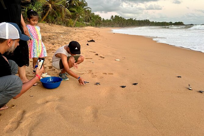 Explore Bentota Village: Guided Tuk Tuk Safari - Practical details that affect the day