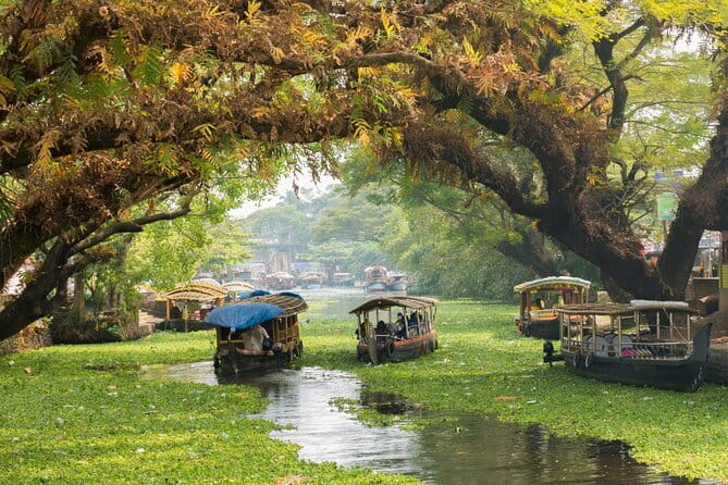 Fort Kochi Tour by Tuk Tuk for Cruise Passengers - Jew Town and the Paradesi Synagogue
