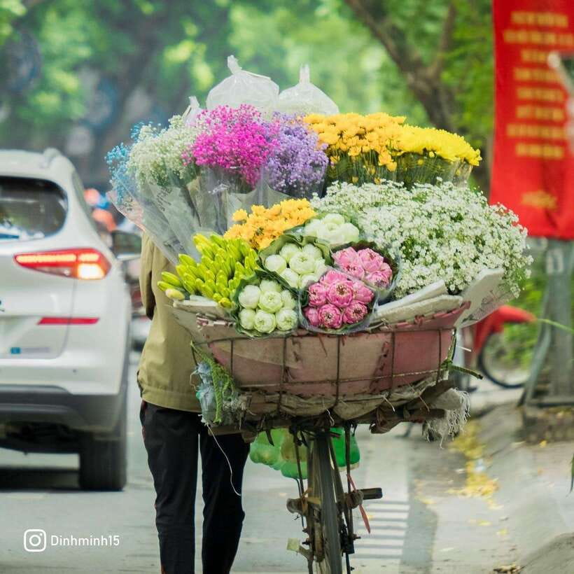 From Hanoi: City Sightseeing Cycling Panoramic Tour By Cyclo - What the private format is really worth