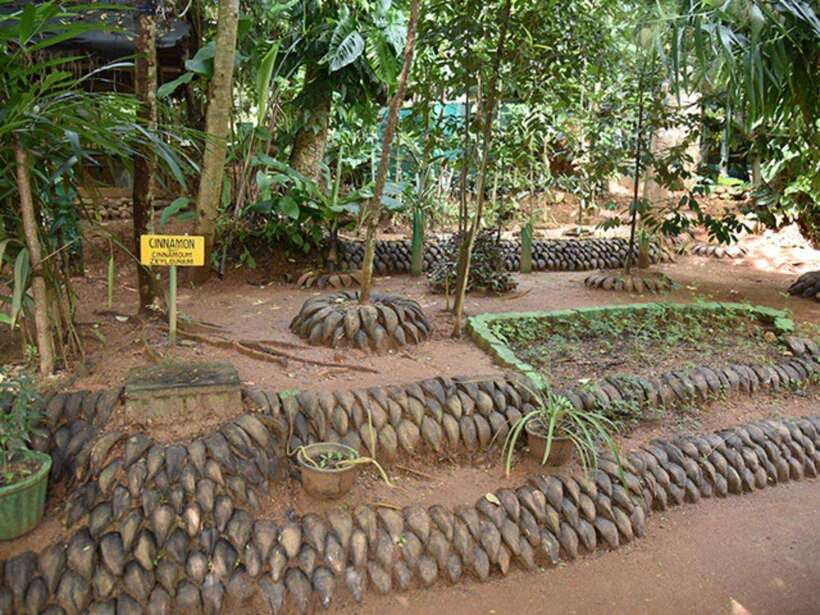 From Kandy: Sigiriya Guided Tuk-Tuk Tour - Why this tuk-tuk day works from Kandy