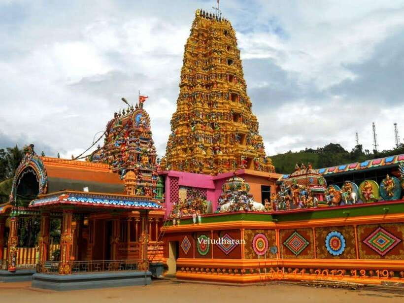 From Kandy: Sigiriya Guided Tuk-Tuk Tour - Minneriya wildlife option and elephant sightings