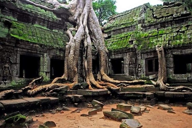Full Day Angkor Complex by Tuk Tuk - (Optional Sunrise) - Angkor Thom begins at the Victory Gate