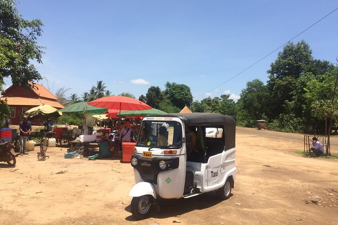 Full-Day Angkor Temple Discovery with Banteay Srei by Tuk-Tuk - What makes the private format worth $45