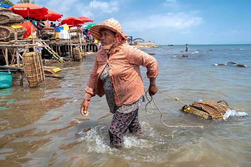 FULL DAY - Countryside Tuk-Tuk Pepper Tour + Kep - A country road day between Kampot and Kep