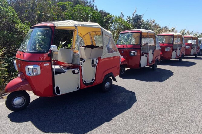 Full-Day Guided Tuk-Tuk Tour in Sintra - Cabo da Roca and Penedo de Adrenunes