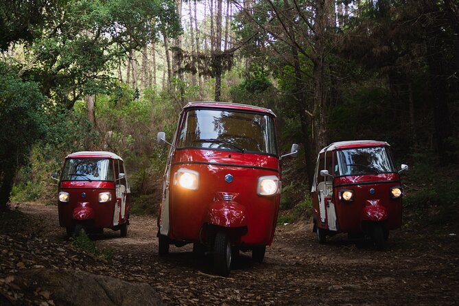 Full-Day Guided Tuk-Tuk Tour in Sintra - Azenhas do Mar and Praia da Adraga