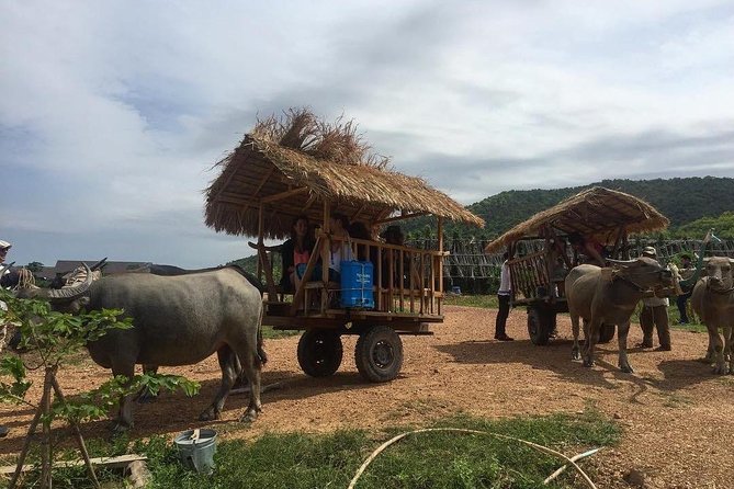 Full-Day Kampot & Kep with a local Tuk Tuk Tours - What this six-to-seven-hour outing actually gives you