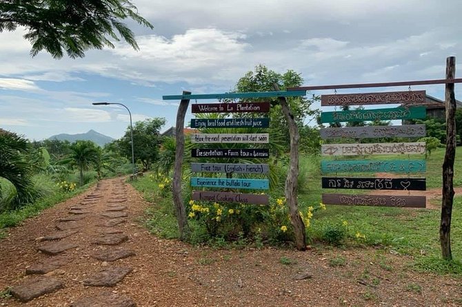Full-Day Kampot & Kep with a local Tuk Tuk Tours - Secret Lake by water-buffalo cart