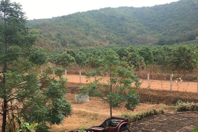 Full-Day Kampot & Kep with a local Tuk Tuk Tours - Who will enjoy this Kampot and Kep day?