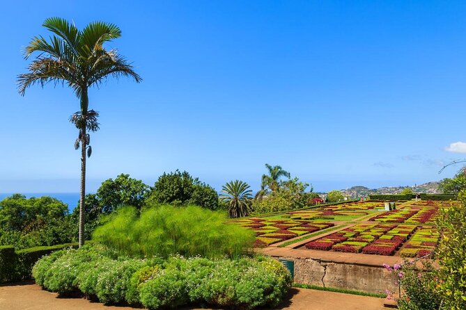Full Day Madeira Island Private Discovery by Tuk Tuk - Key things to know before you book
