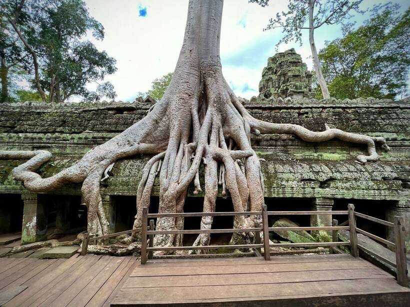 Full Day Private of Angkor Wat Tour with Tuk Tuk - Ta Keo is a stark change of pace