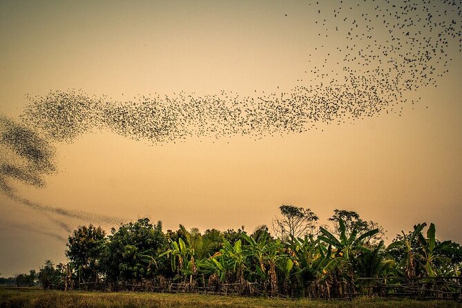 Full/Half Day Tuk TuK: Handicrafts Bambootrain Killing&Bat Caves - Key points to know before booking