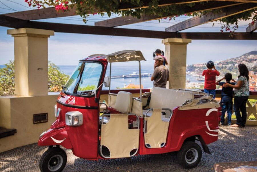 Funchal at Night Private Tour by Tuk Tuk - Key points to know before booking