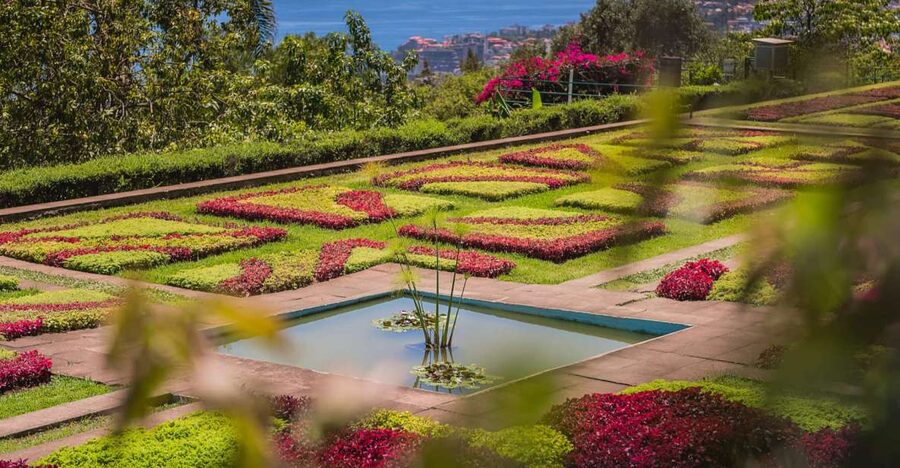 Funchal: Botanical Garden and Old Town Private Tuk-Tuk Tour - A tuk-tuk is well suited to Funchal’s steep streets