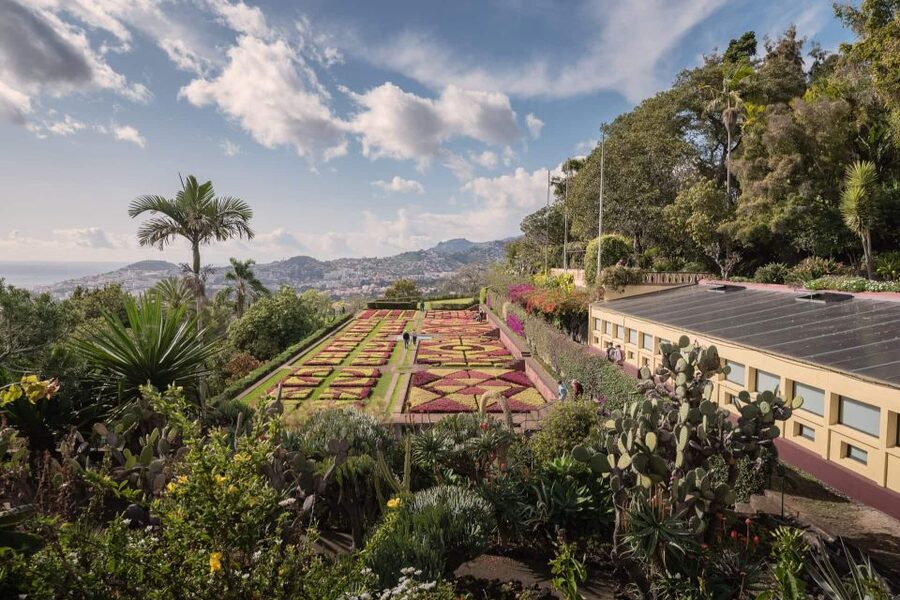 Funchal: Botanical Garden and Old Town Private Tuk-Tuk Tour - Who gets the best value from the $94 price