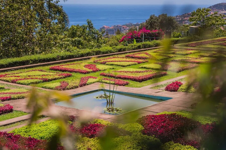 Funchal: Botanical Garden and Old Town Private Tuk-Tuk Tour - Starting in Zona Velha, Funchal’s oldest quarter