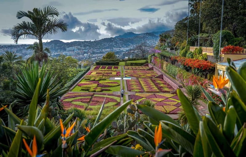 Funchal: Botanical Garden & Old Town Tour by TukTuk (1h45) - One hour inside the Botanical Garden
