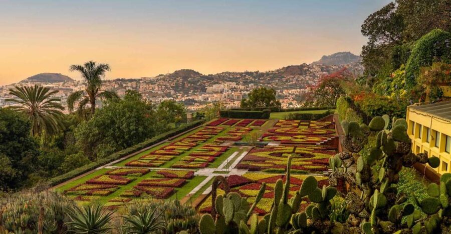 Funchal: Guided Old Town Tuk Tuk Tour and Botanical Gardens - Why a Tuk Tuk Works So Well in Funchal