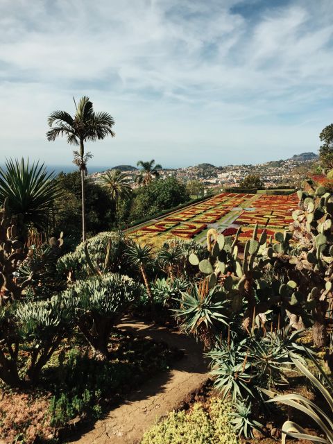 Funchal: Guided Old Town Tuk Tuk Tour and Botanical Gardens - The Ride Up to Madeira’s Botanical Gardens