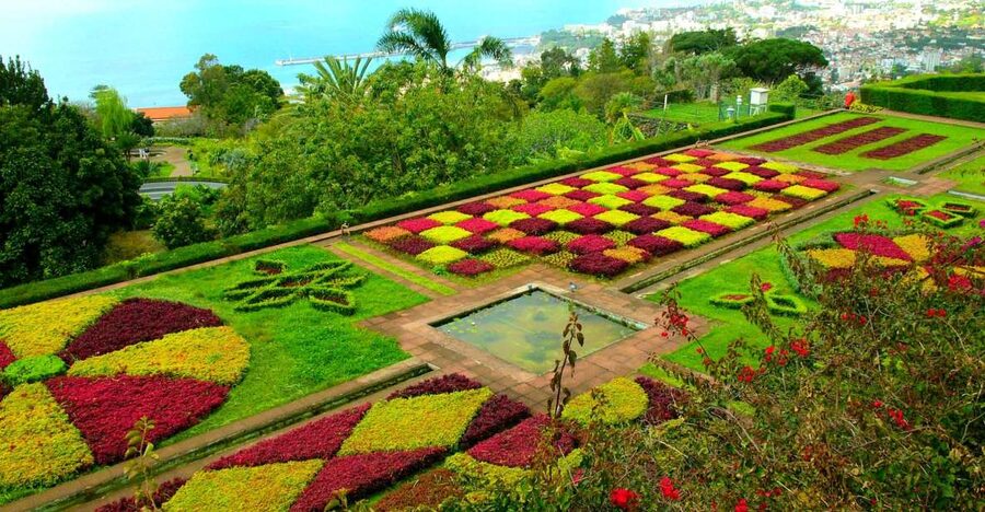 Funchal: Madeira Botanical Garden Tuk-Tuk Tour + Old Town - Should you book this Funchal tuk-tuk tour?