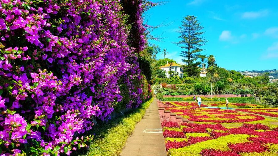 Funchal: Madeira Botanical Garden Tuk-Tuk Tour + Old Town - Why the tuk-tuk ride works well in hilly Funchal