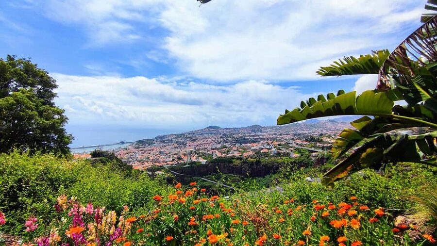 Funchal: Madeira Botanical Garden Tuk-Tuk Tour + Old Town - What you actually see in Funchal