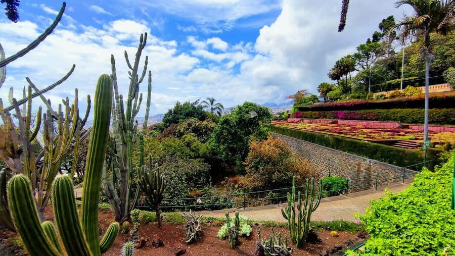 Funchal: Madeira Botanical Garden Tuk-Tuk Tour + Old Town - The guides can shape the whole experience