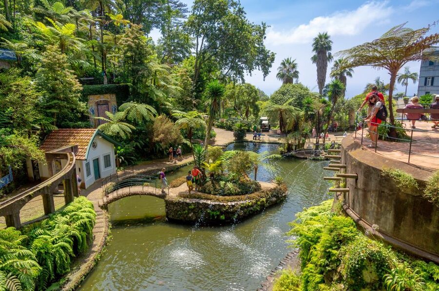 Funchal: Monte Palace Tropical Gardens Tuk Tuk Tour - Why this tuk tuk route works well in Funchal