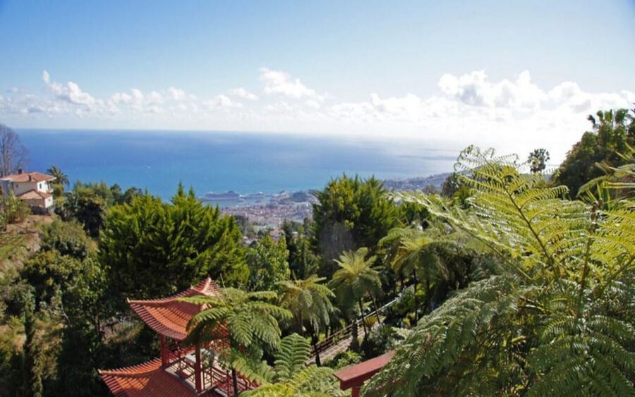Funchal: Monte Palace Tropical Gardens Tuk Tuk Tour - The ride from Funchal to Monte