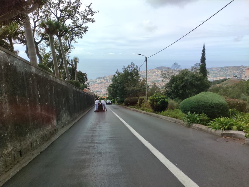 Funchal: Monte Toboggan and Old Town Tour by Tuk-Tuk - The 20-minute climb to Monte at 585 meters