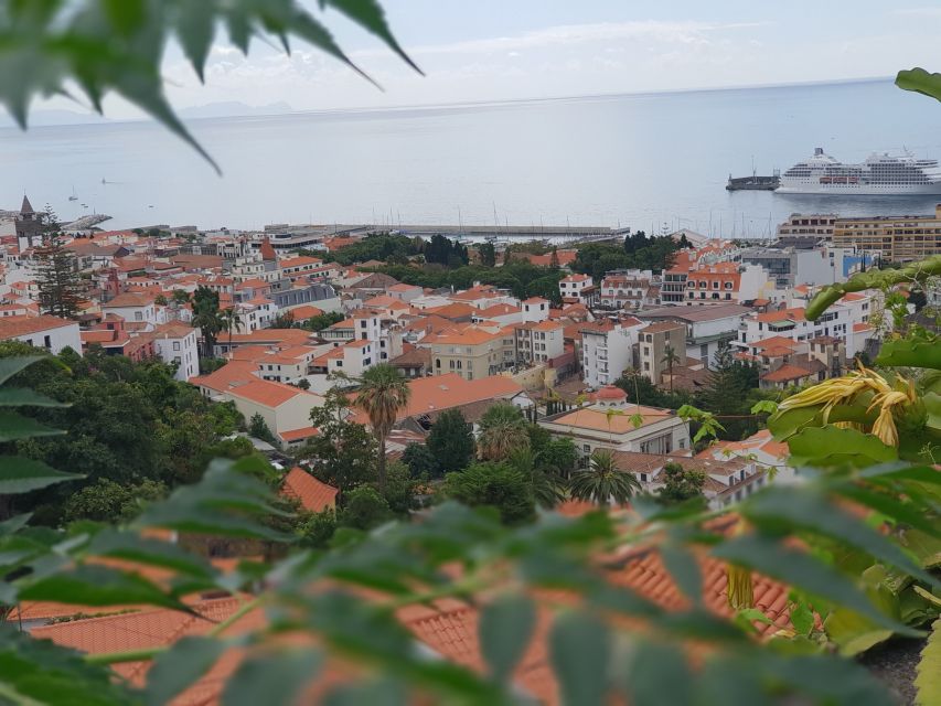 Funchal: Monte Toboggan and Old Town Tour by Tuk-Tuk - How the Monte basket-cart ride works