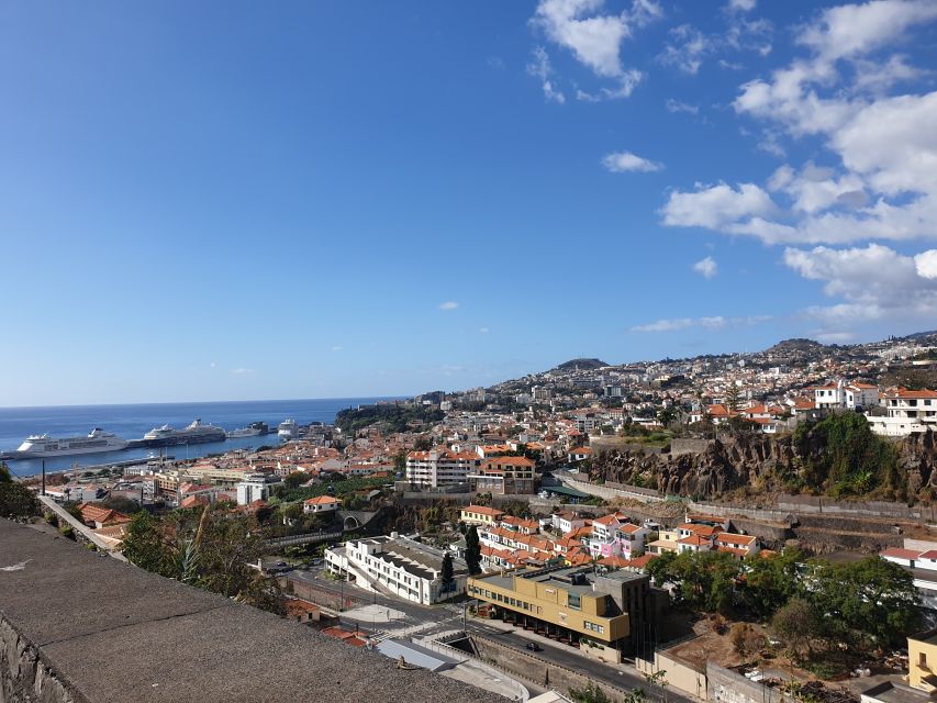 Funchal: Monte Toboggan and Old Town Tour by Tuk-Tuk - Who should book this Monte tour?