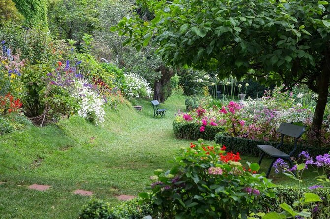 Funchal Old Town & Palheiro Gardens Private Tuk Tuk Tour - Starting in Funchal’s Old Town