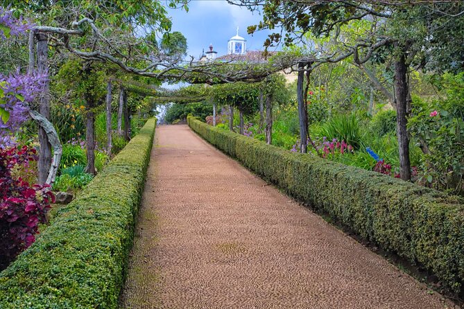 Funchal Old Town & Palheiro Gardens Private Tuk Tuk Tour - Why the private price can make sense