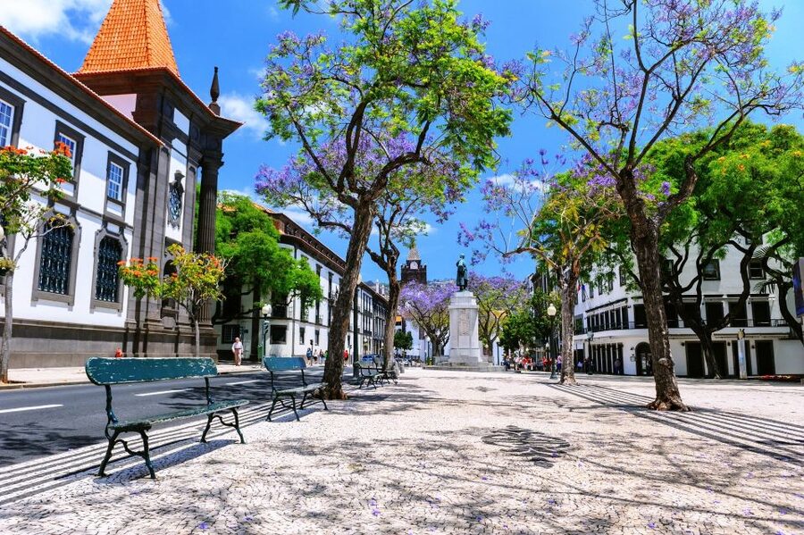Funchal: Private Guided Tour of Historic Center by Tuk Tuk - My verdict on the private Funchal tuk tuk tour