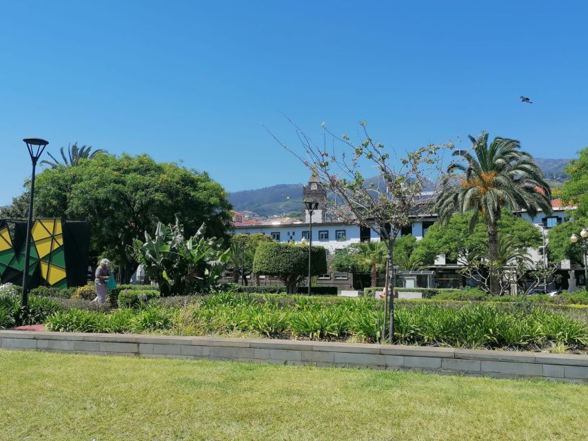 Funchal: Private Guided Tour of Historic Center by Tuk Tuk - Mercado dos Lavradores and everyday Funchal